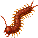 Centipede, Play Whe mark 1