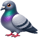 Pigeon, Play Whe mark 17