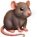 Rat, Play Whe mark 22